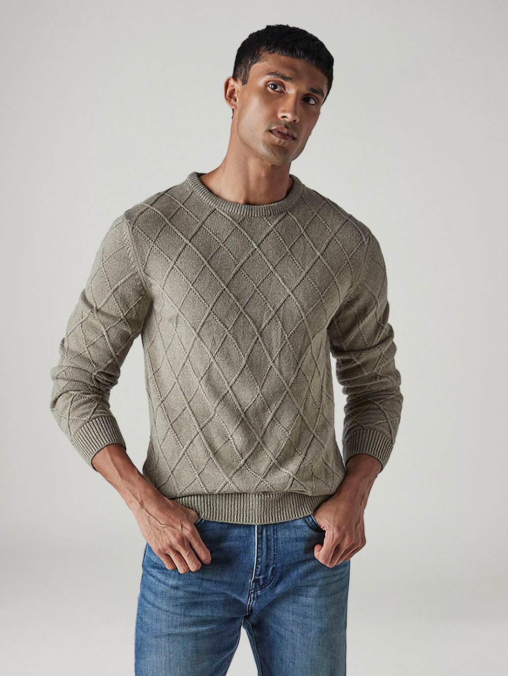 Men's Textured Regular Fit Sweater