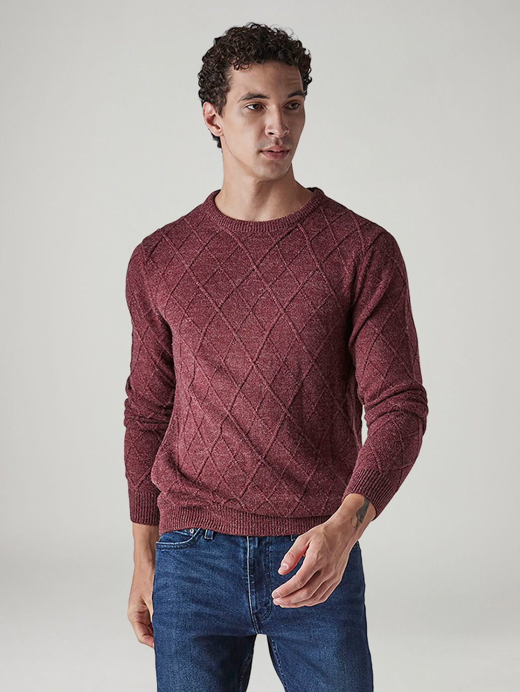 Men's Textured Regular Fit Sweater