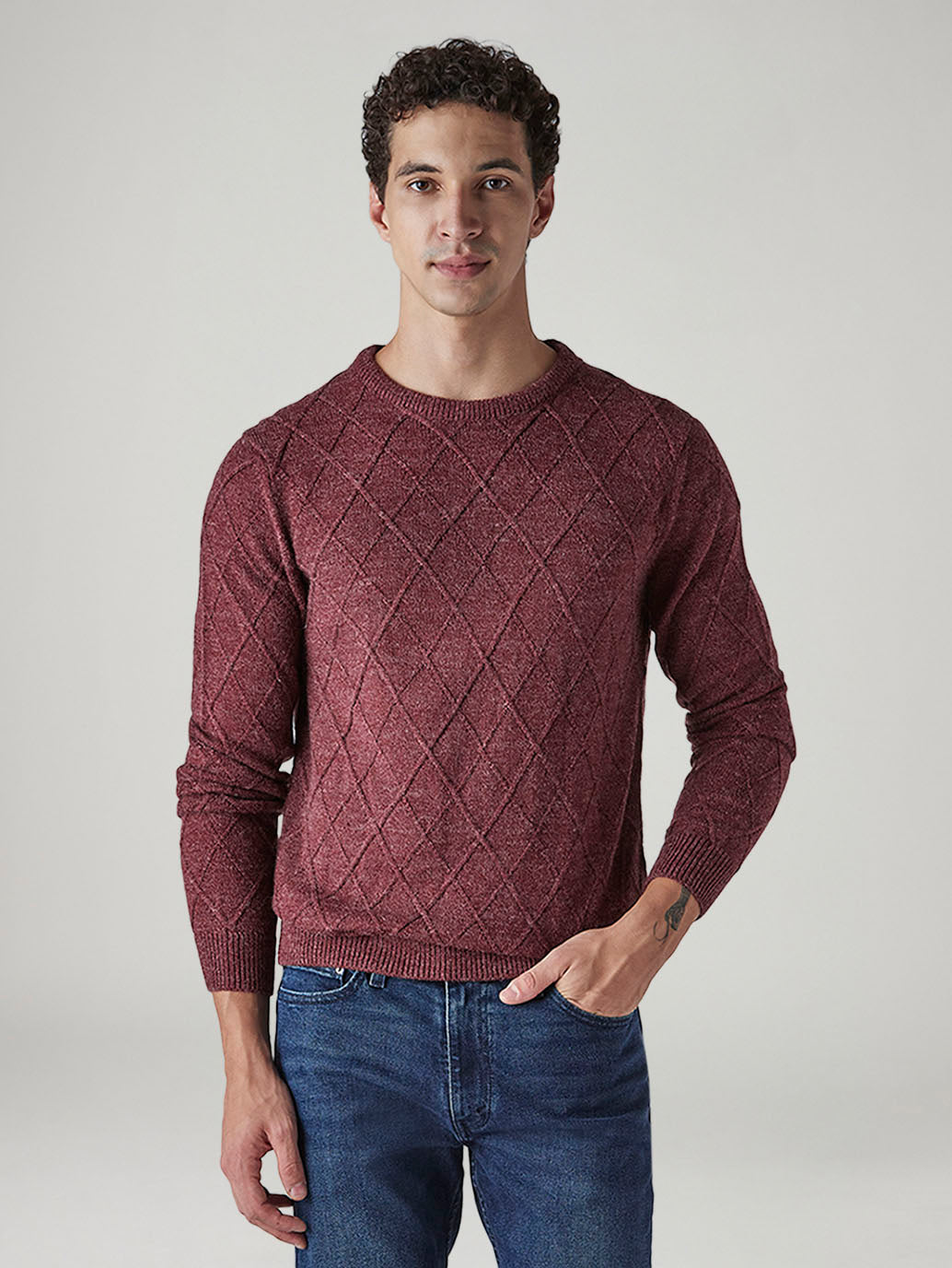 Men's Textured Regular Fit Sweater - 20 View