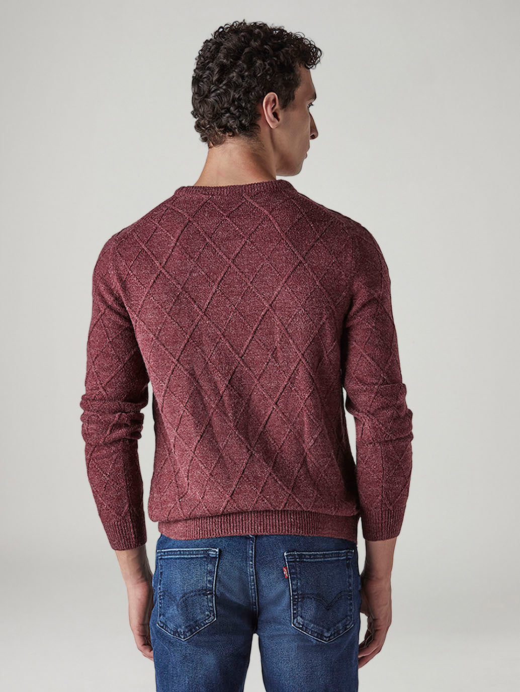 Men's Textured Regular Fit Sweater - 20 View