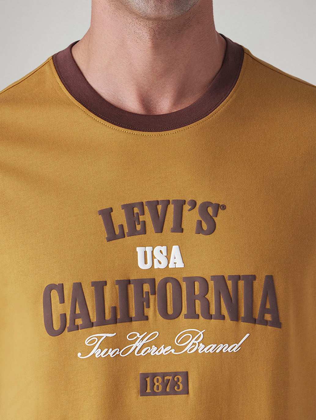 Men's Graphic Print Slim Fit T-Shirt - Detail View