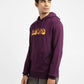 Men's Graphic Print Maroon Hooded Sweatshirt