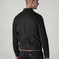 Men's Solid Regular Fit Denim Jacket - Back View
