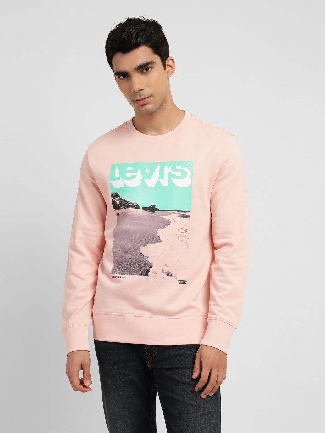 Men's Graphic Print Crew Neck Sweatshirt