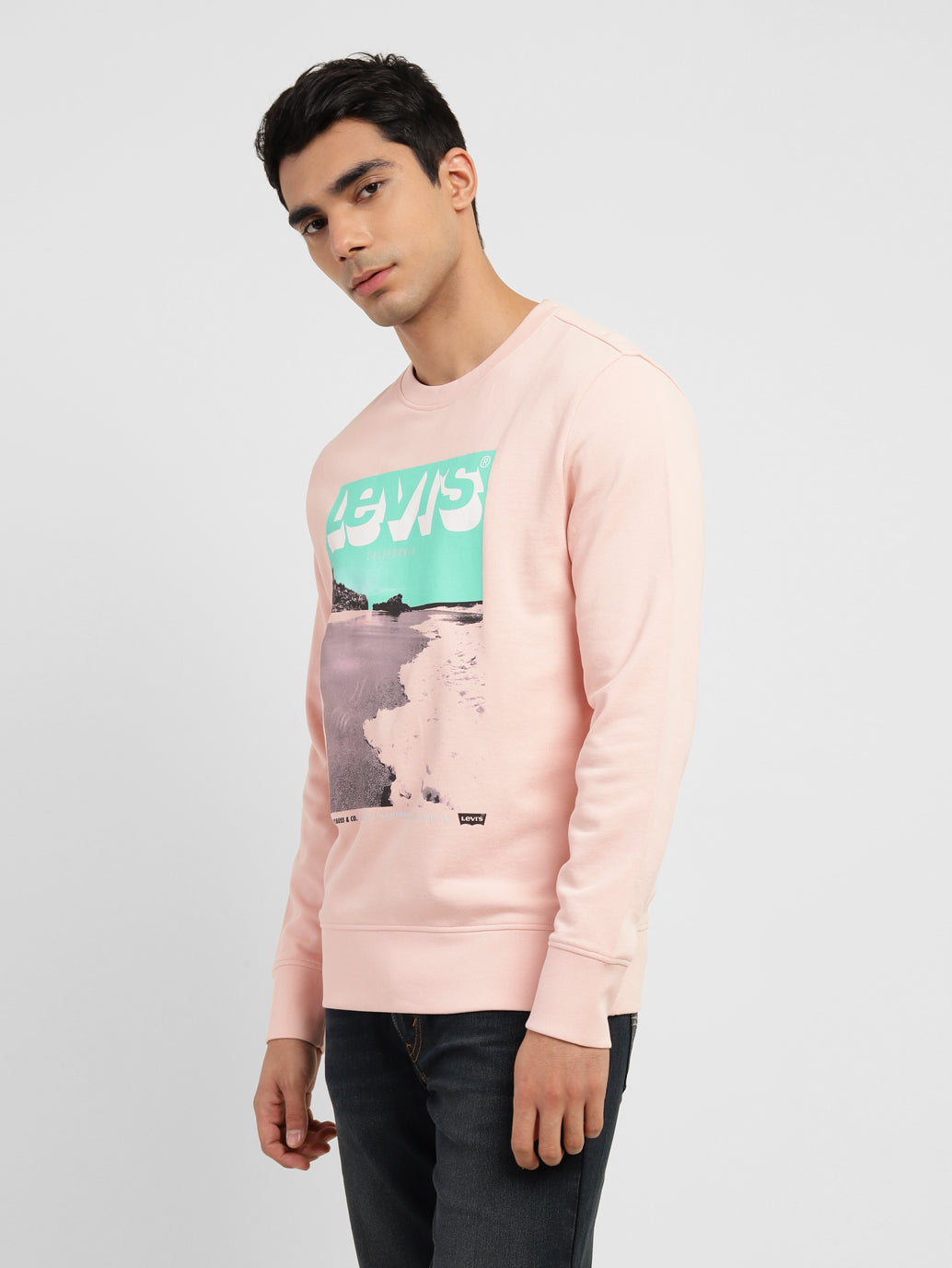 Men's Graphic Print Crew Neck Sweatshirt