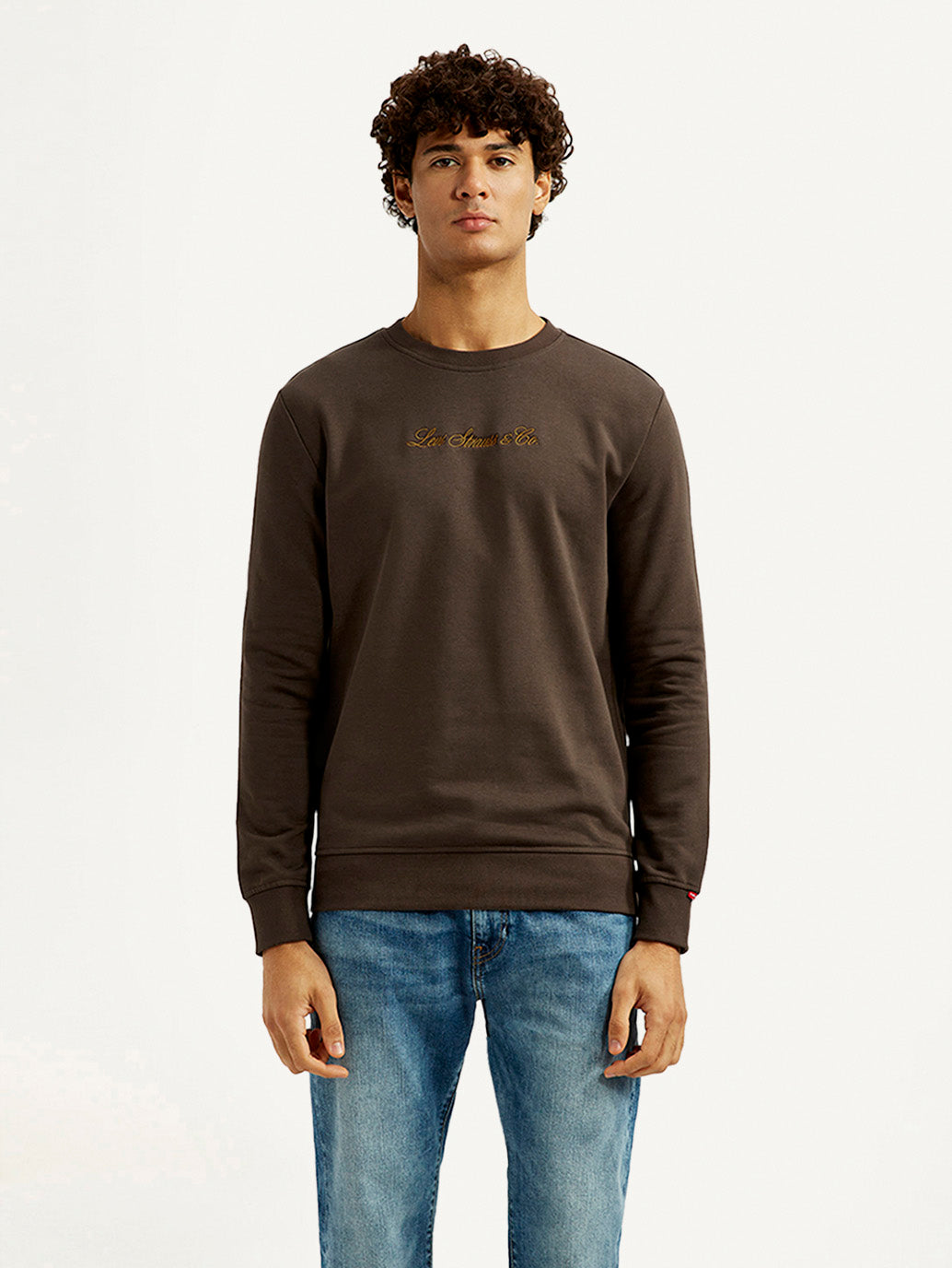 Men's Brand Logo Crew Neck Sweatshirt - Front View