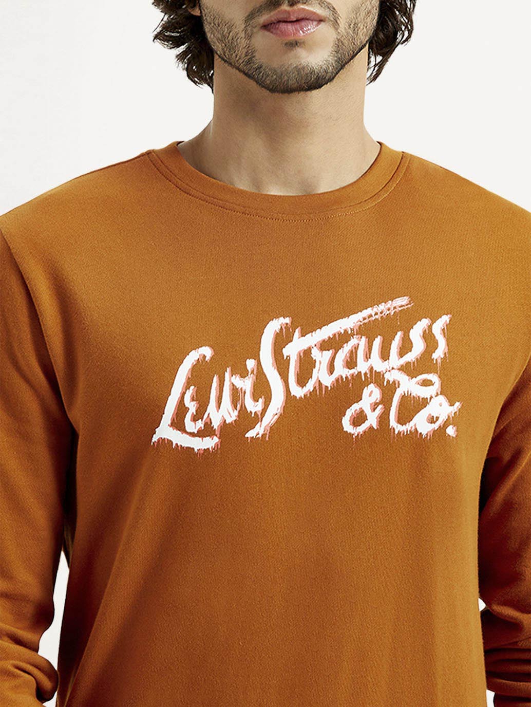 Men's Printed Round Neck Sweatshirt - Detail View