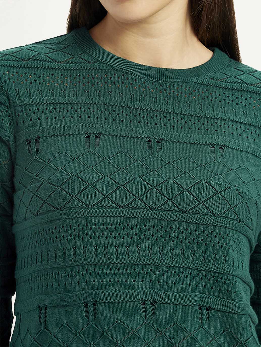 Women's Self-Design Dark Green Crew Neck Sweater - Detail View