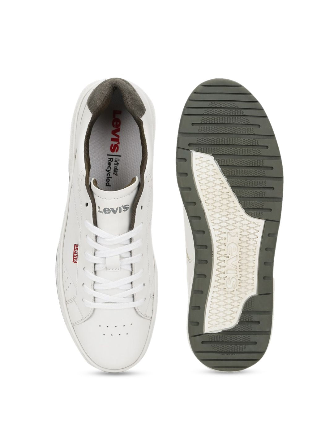 Hudson Mens Levi Canvas Shoes Sport Shoes Hudson Bay Sneakers