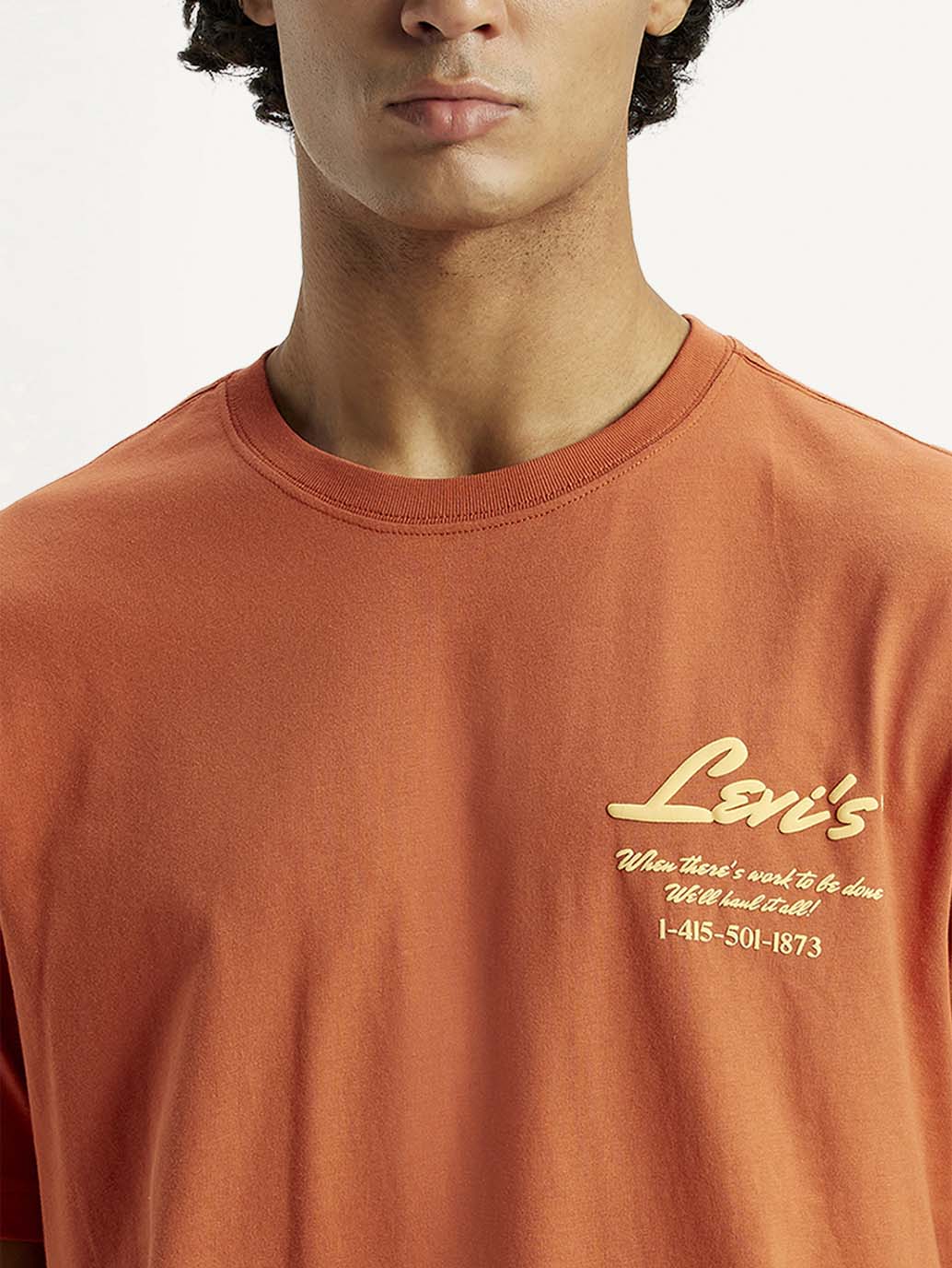 Men's Typography Regular Fit T-Shirt - Detail View