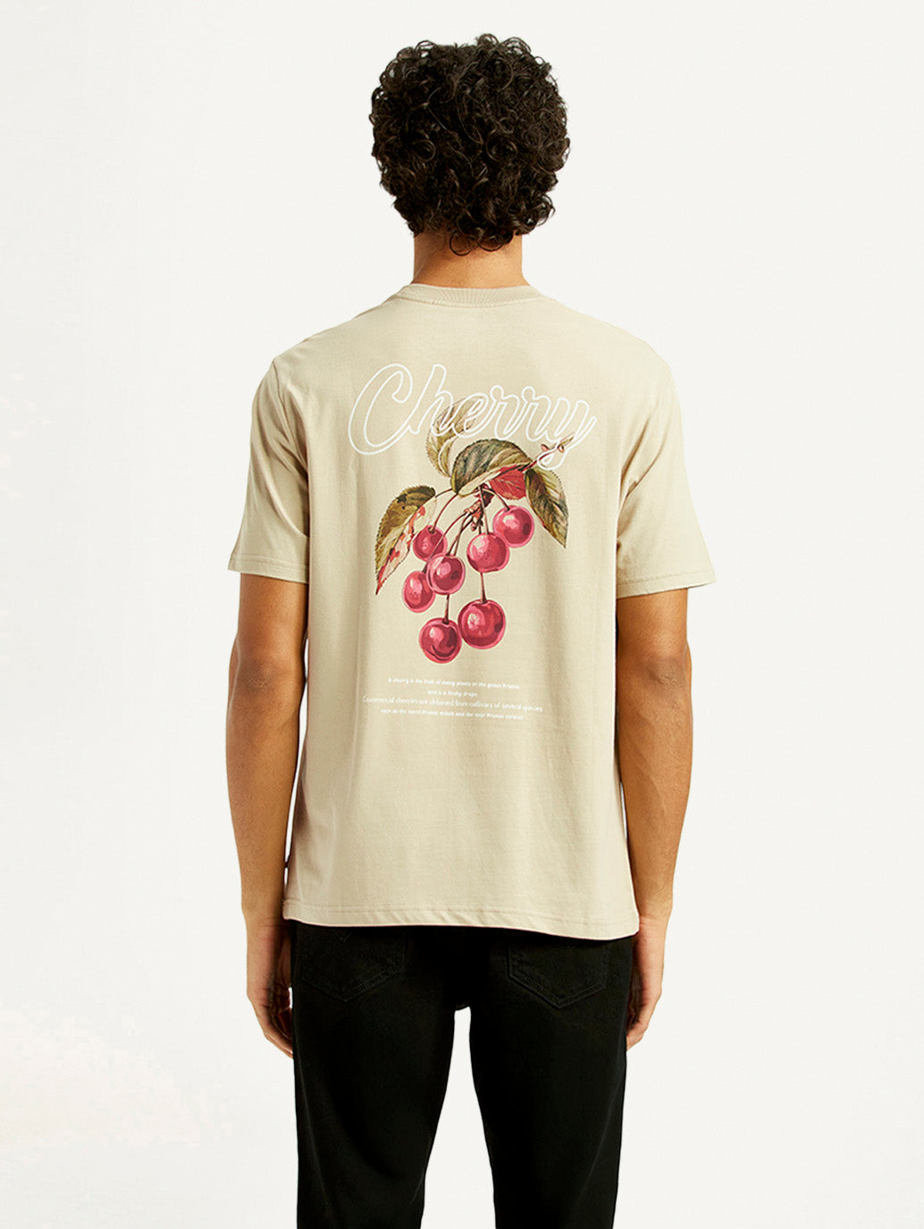 Men's Graphic Print Crew Neck T-shirt - Back View