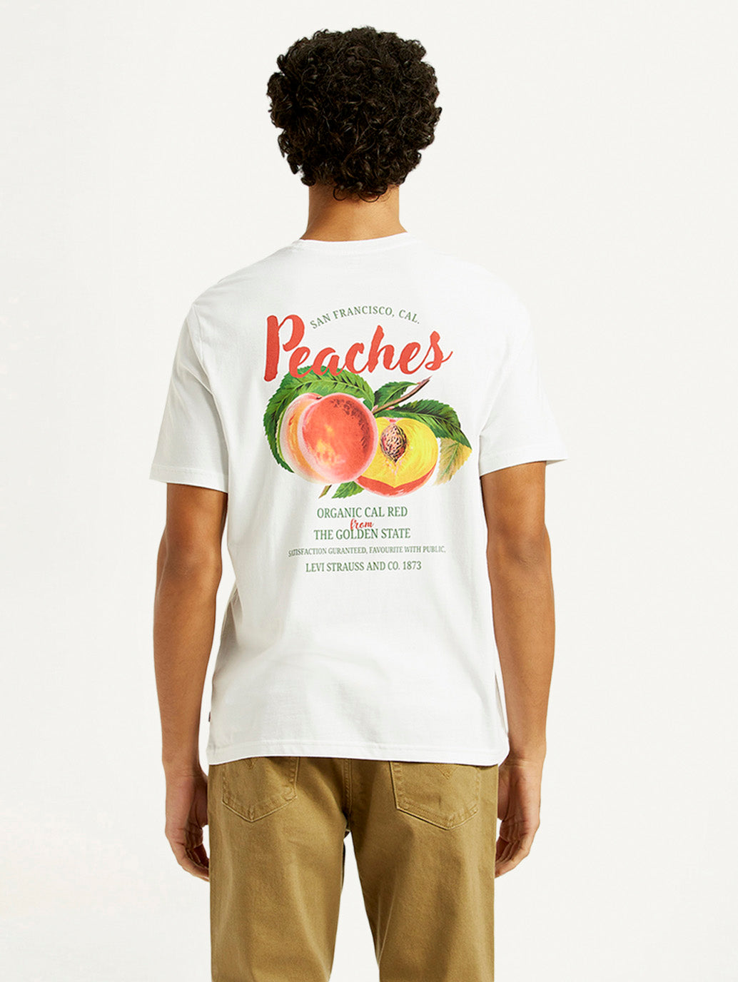 Men's Graphic Print Crew Neck T-shirt - Back View