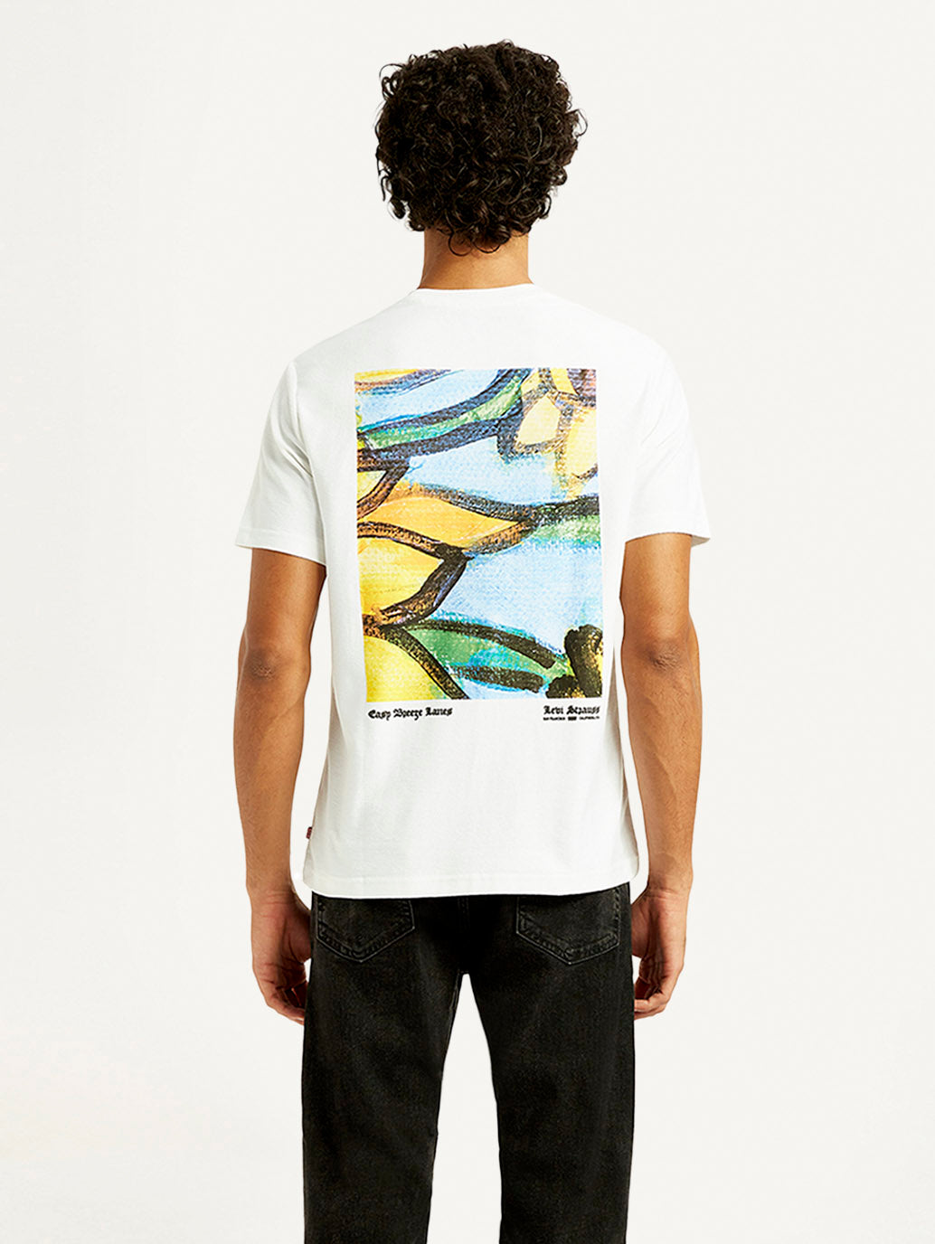 Men's Graphic Print Crew Neck T-shirt - Back View