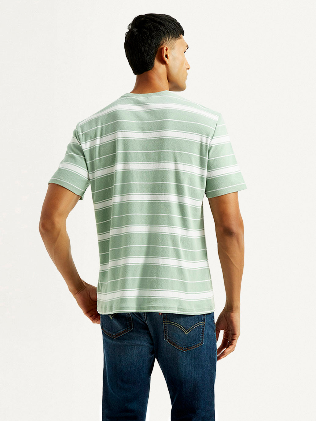 Men's Striped Light Green Crew Neck T-shirt - Back View