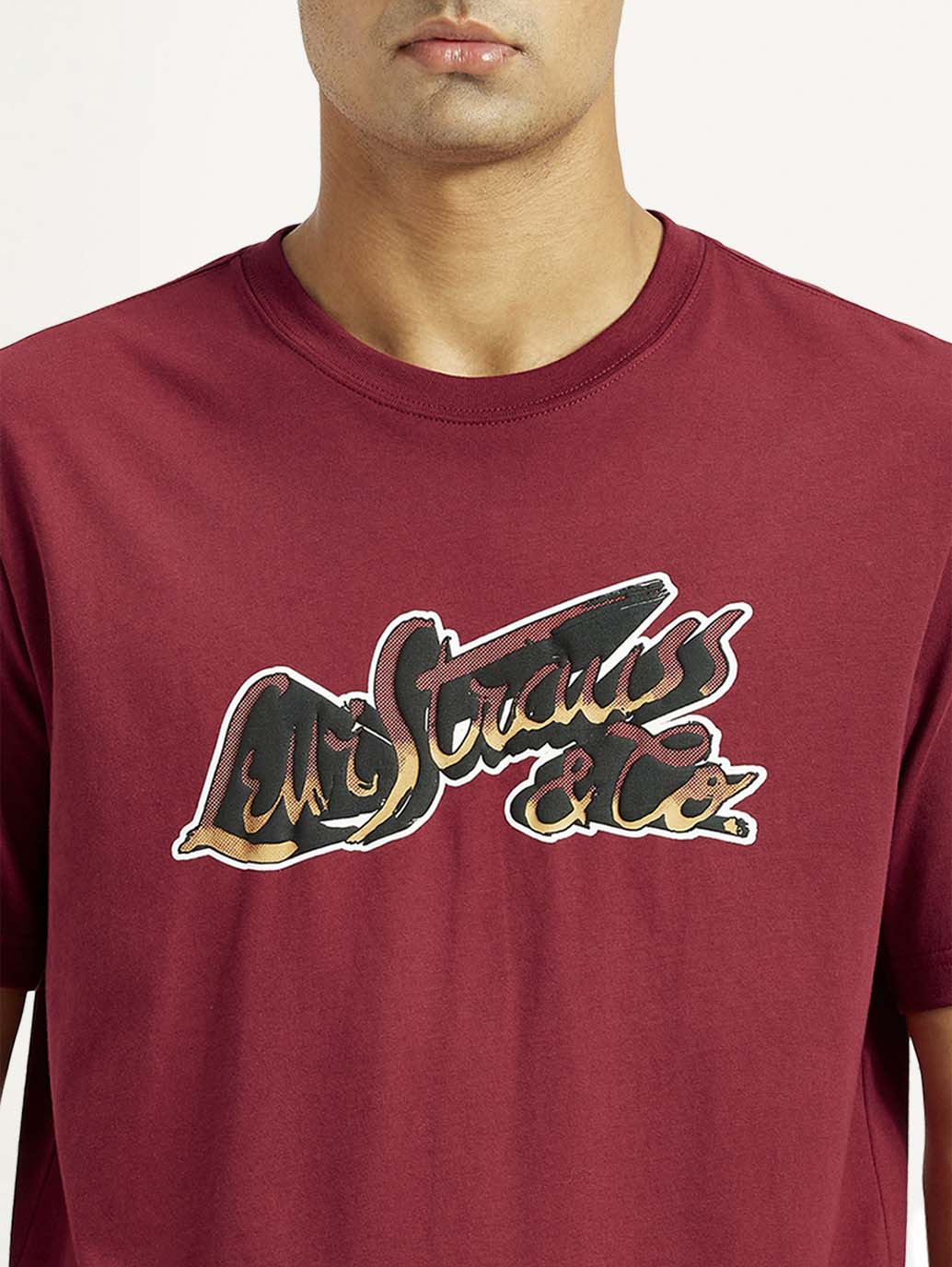 Men's Graphic Regular Fit T-Shirt - Detail View