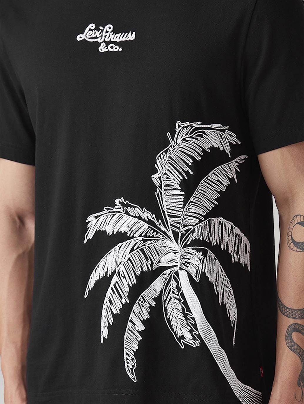 Men's Graphic Print Regular Fit T-Shirt - Detail View