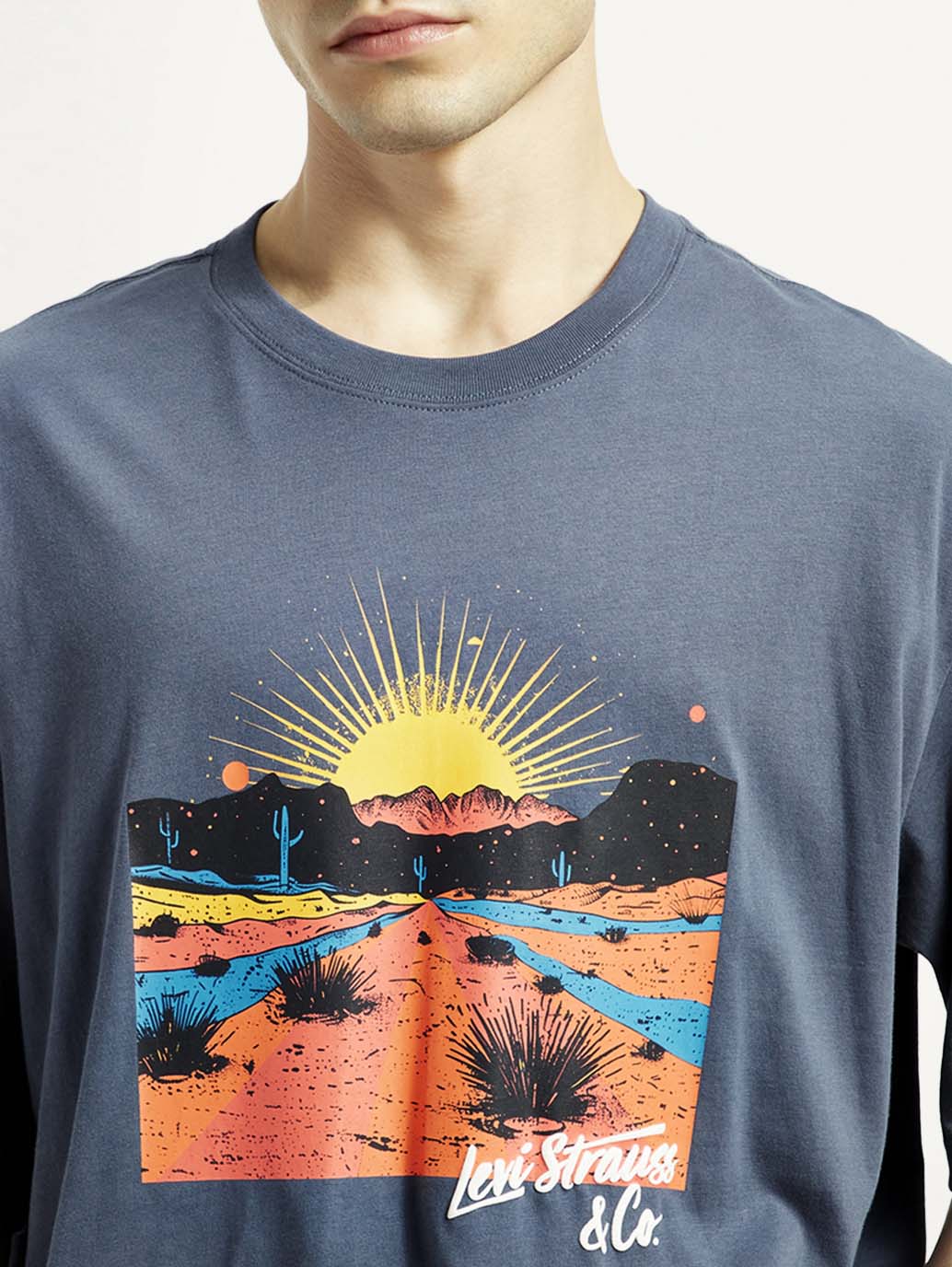 Men's Graphic Regular Fit T-Shirt - Detail View