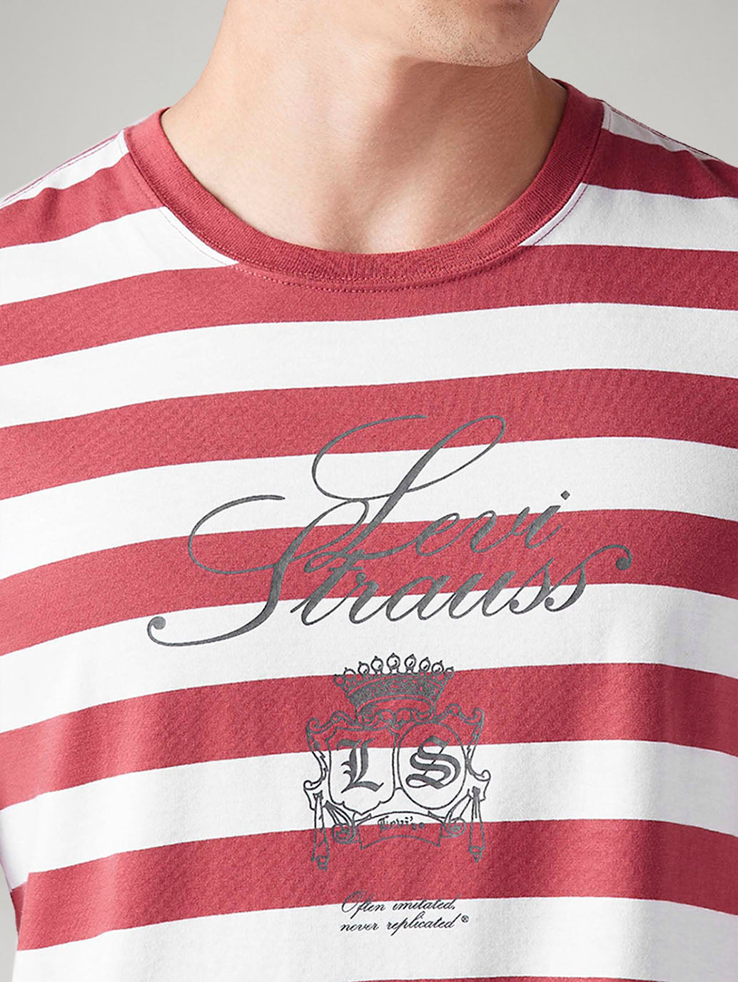 Men's Striped Regular Fit T-Shirt - Detail View