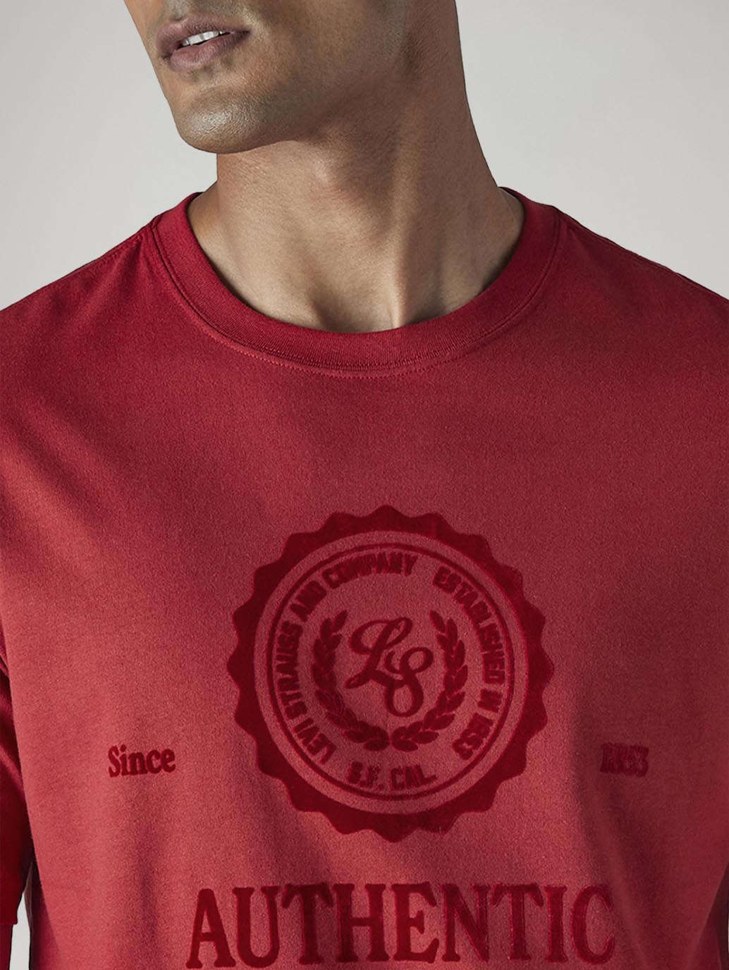 Men's Graphic Print Regular Fit Jersey T-Shirt - Detail View