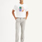 Men's Grey Slim Fit Chinos