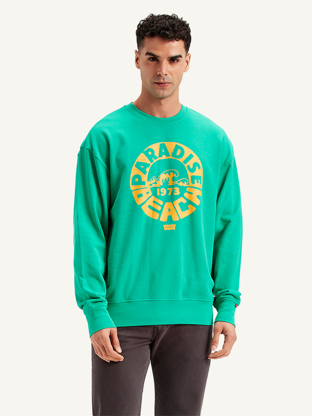 Men's Graphic Print Regular Fit Sweatshirt