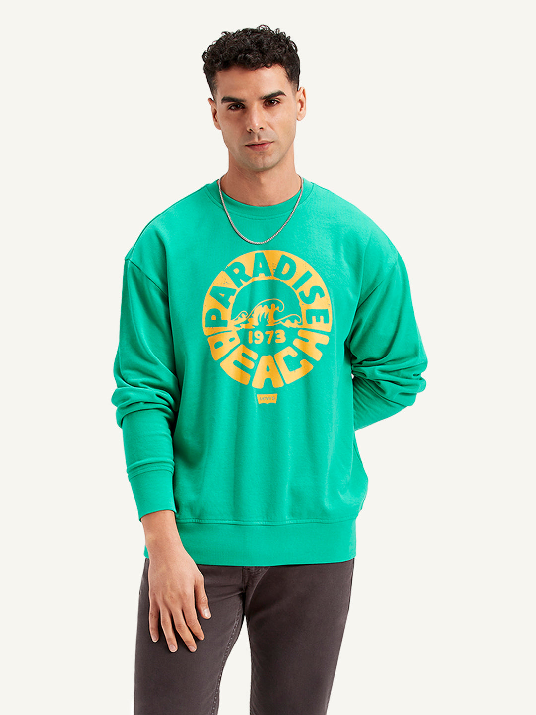 Men's Graphic Print Regular Fit Sweatshirt