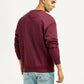 Men's Embroidered Maroon Crew Neck Sweatshirt - Back View