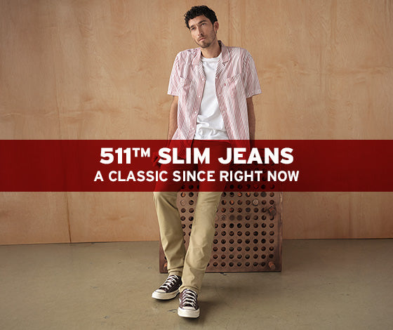 Louis Vuitton luxury bags