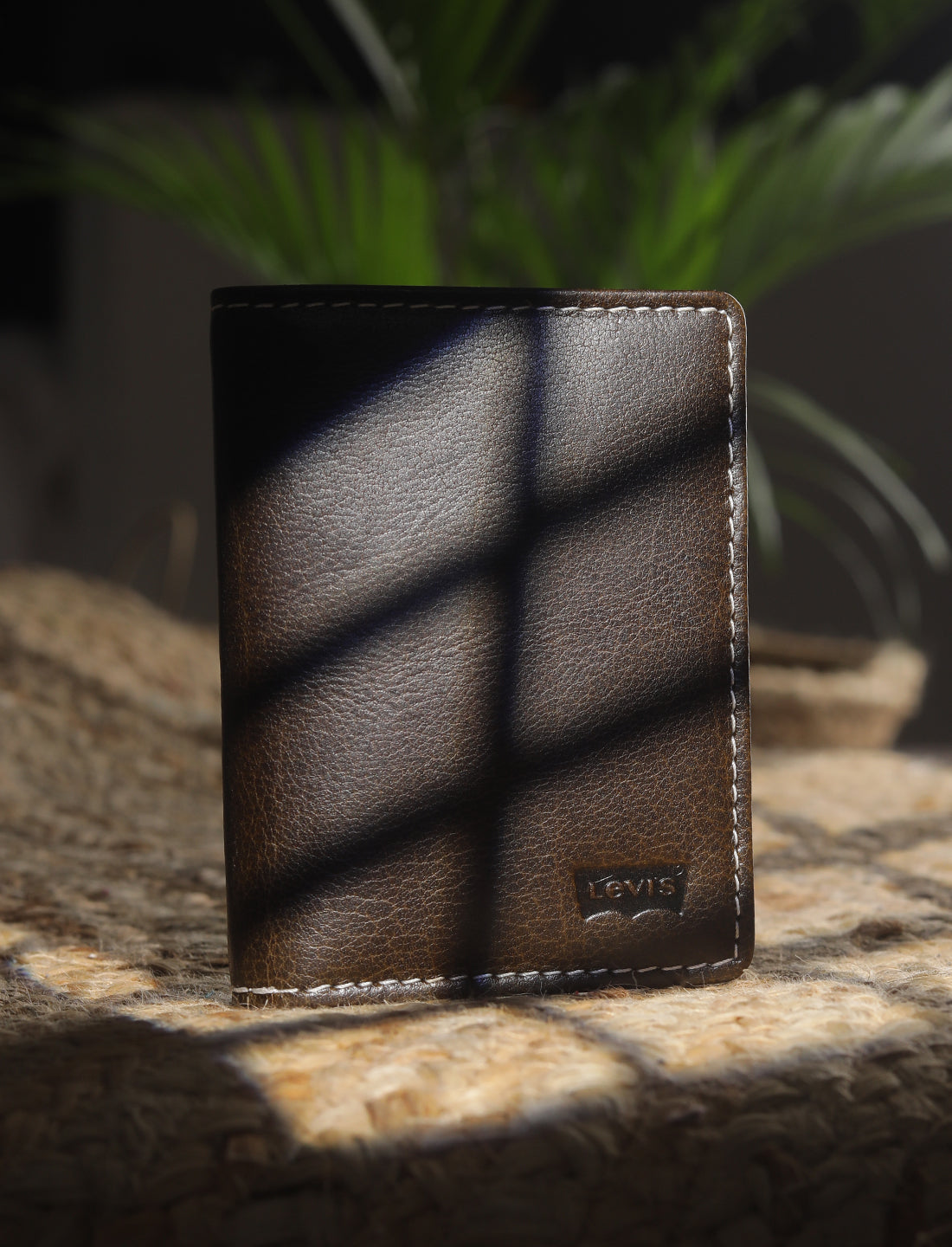 Men's Brown Solid Card Holder
